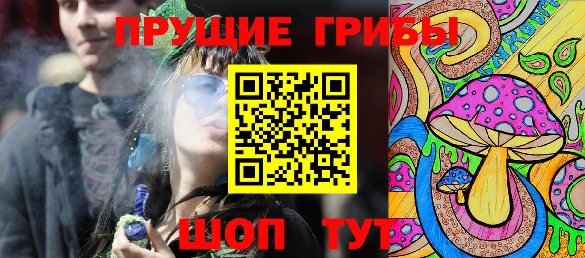 Галлюциногенные грибы Cubensis  Галлюциногенные грибы прущие грибы  купить   Горячий Ключ  Вход с VPN 